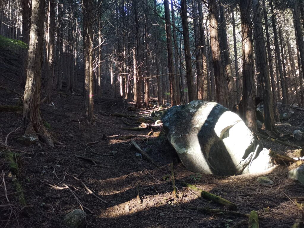 登山道 岩