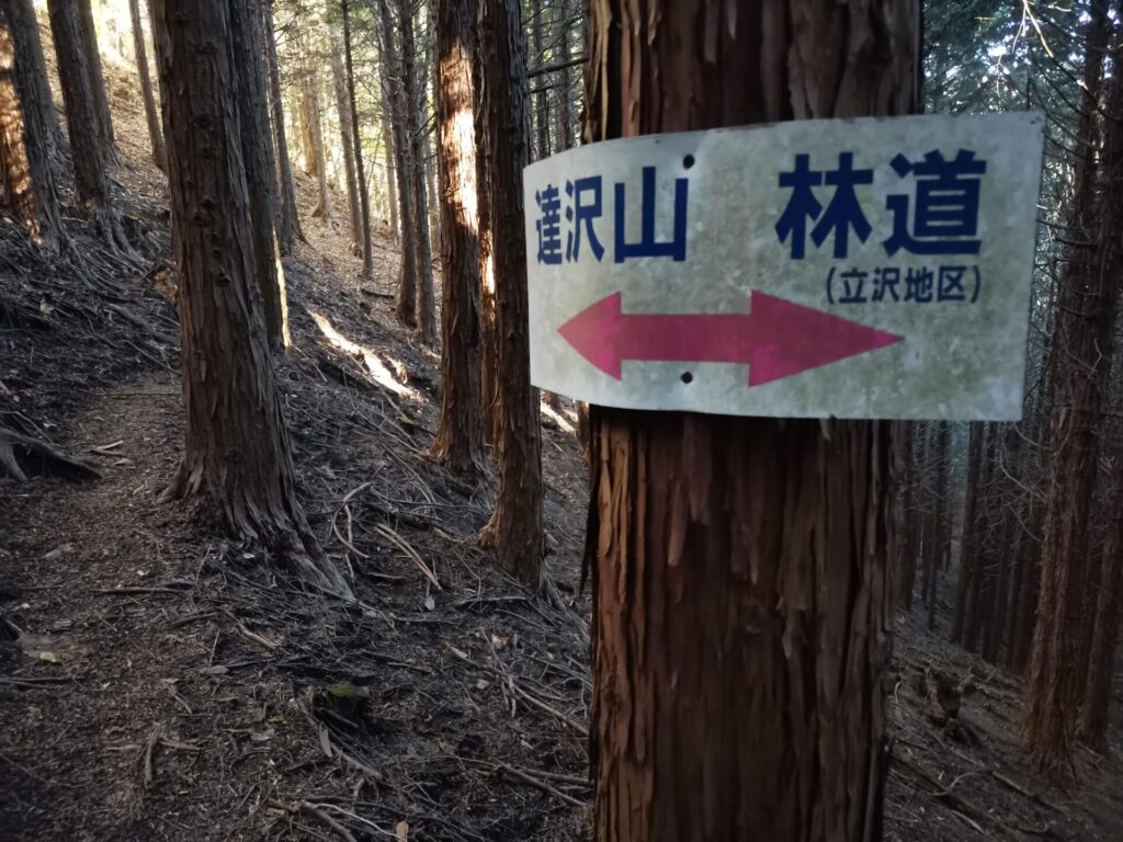 達沢山 道標