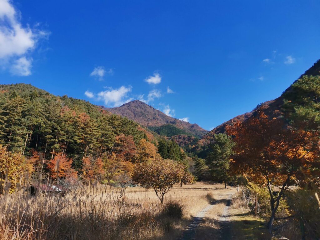 登山道 青空