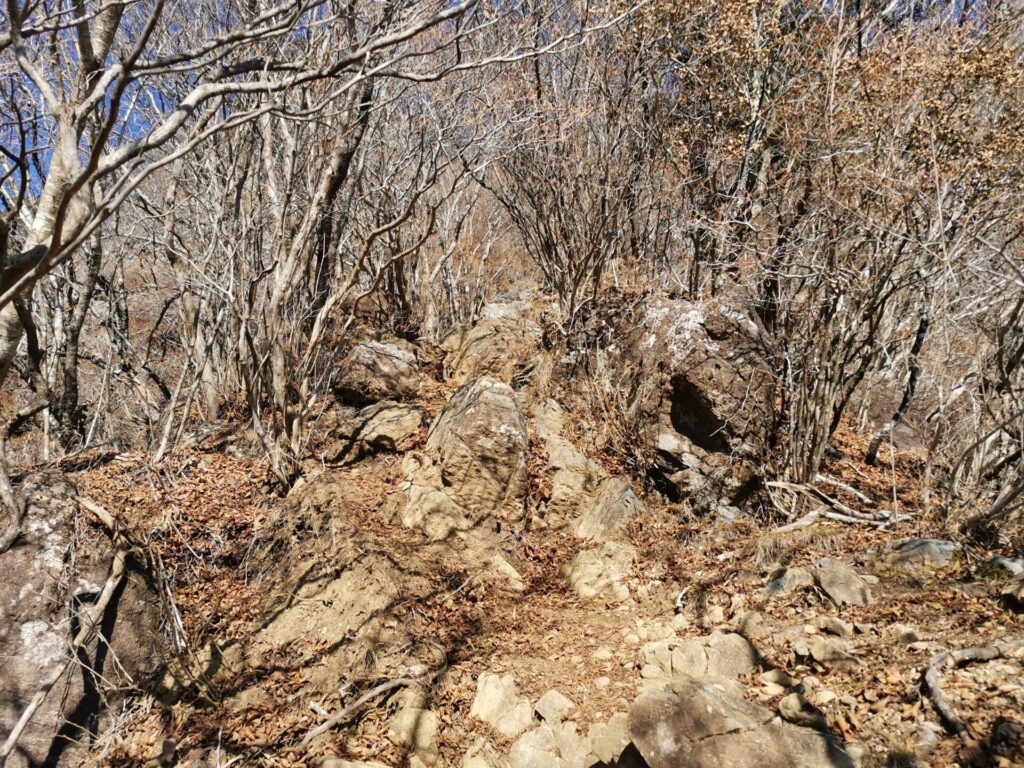 登山道 岩