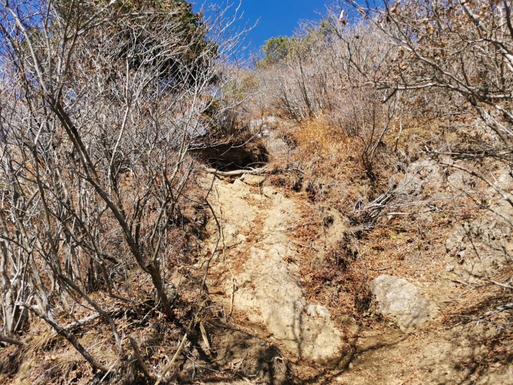 登山道 岩