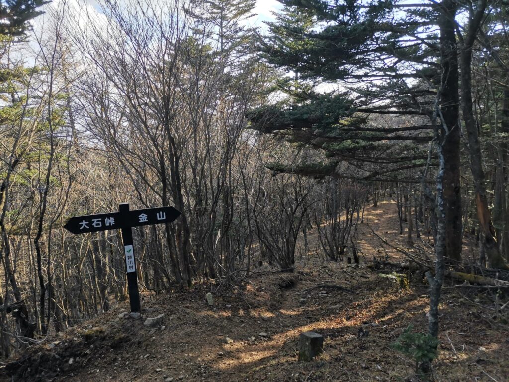 登山道 道標