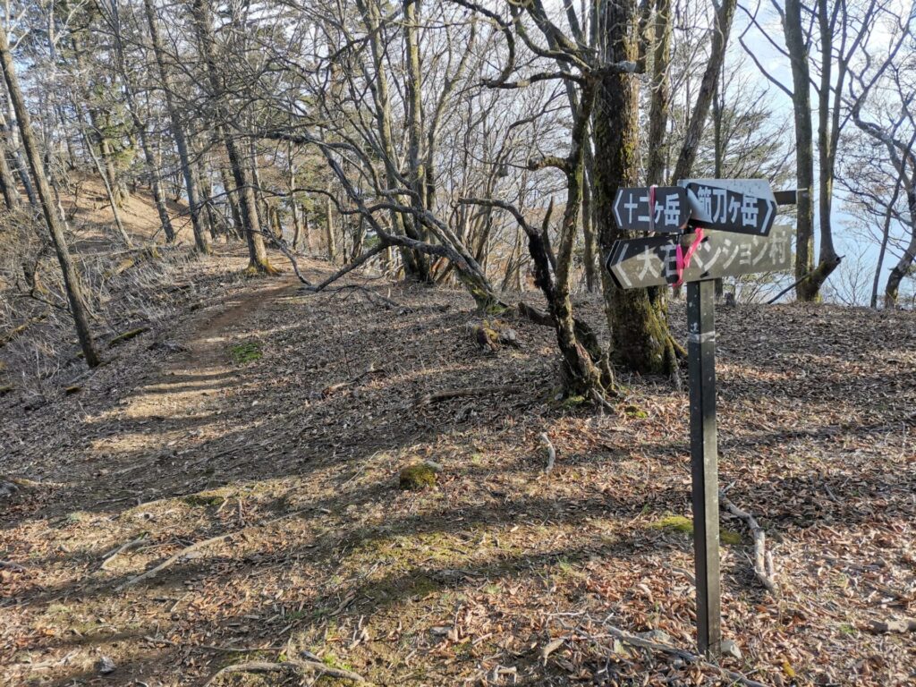 登山道 分岐