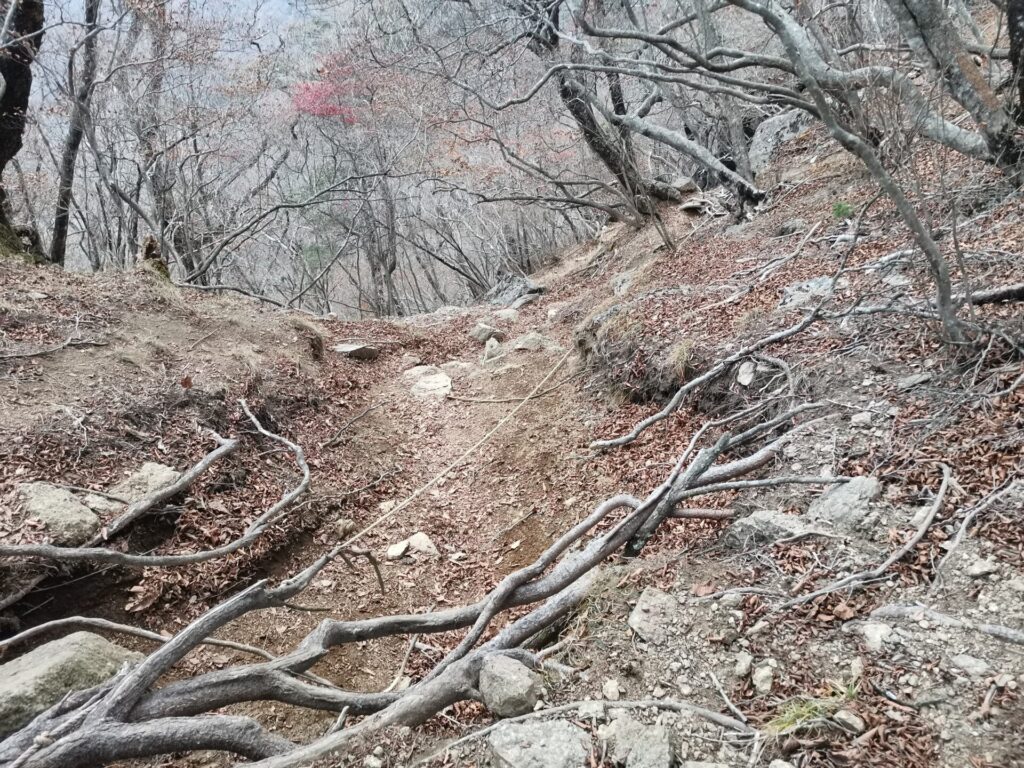 登山道 ロープ