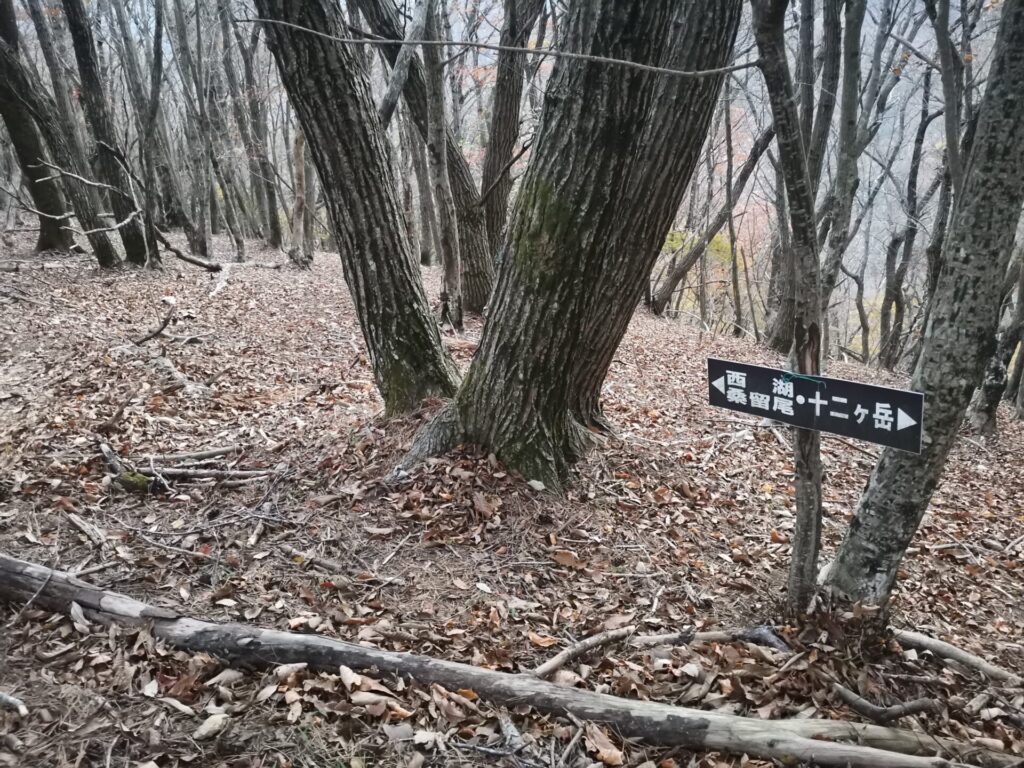 西湖 桑留尾 道標