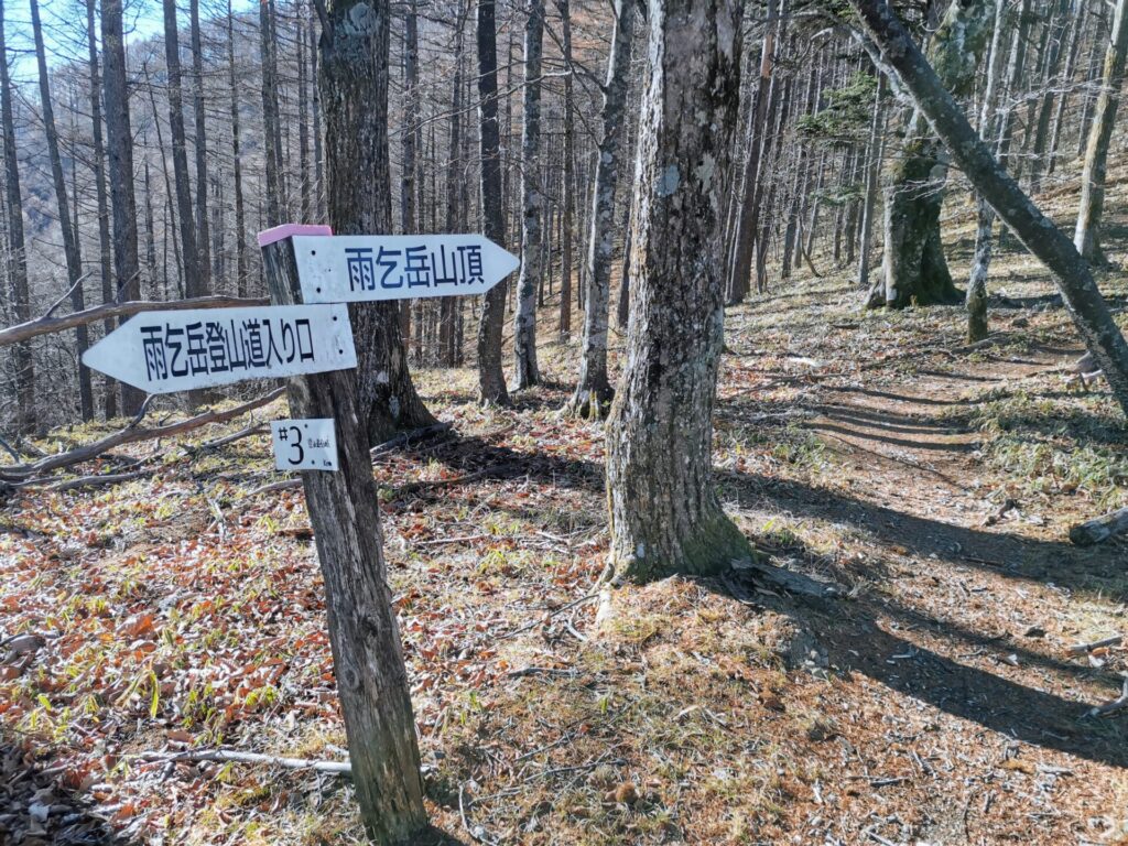 登山道分岐 道標