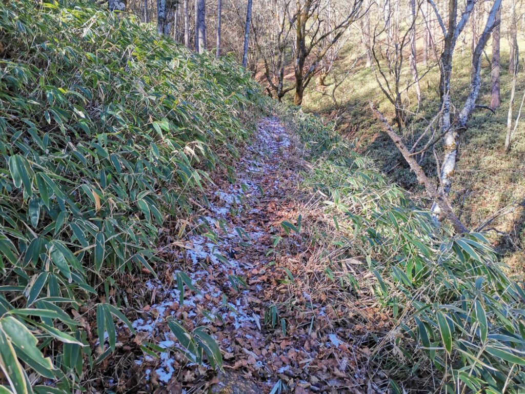 登山道 雪