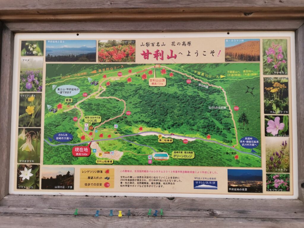 甘利山 地図