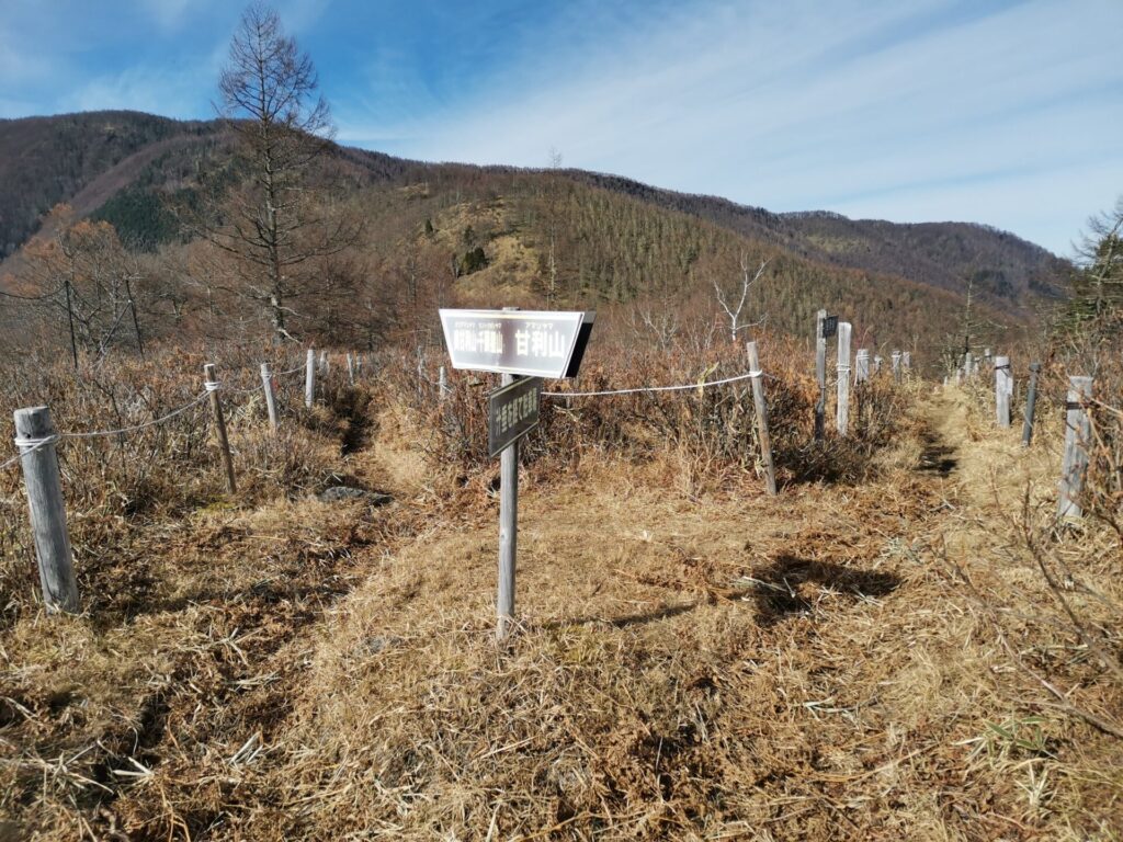 登山道 分岐 道標