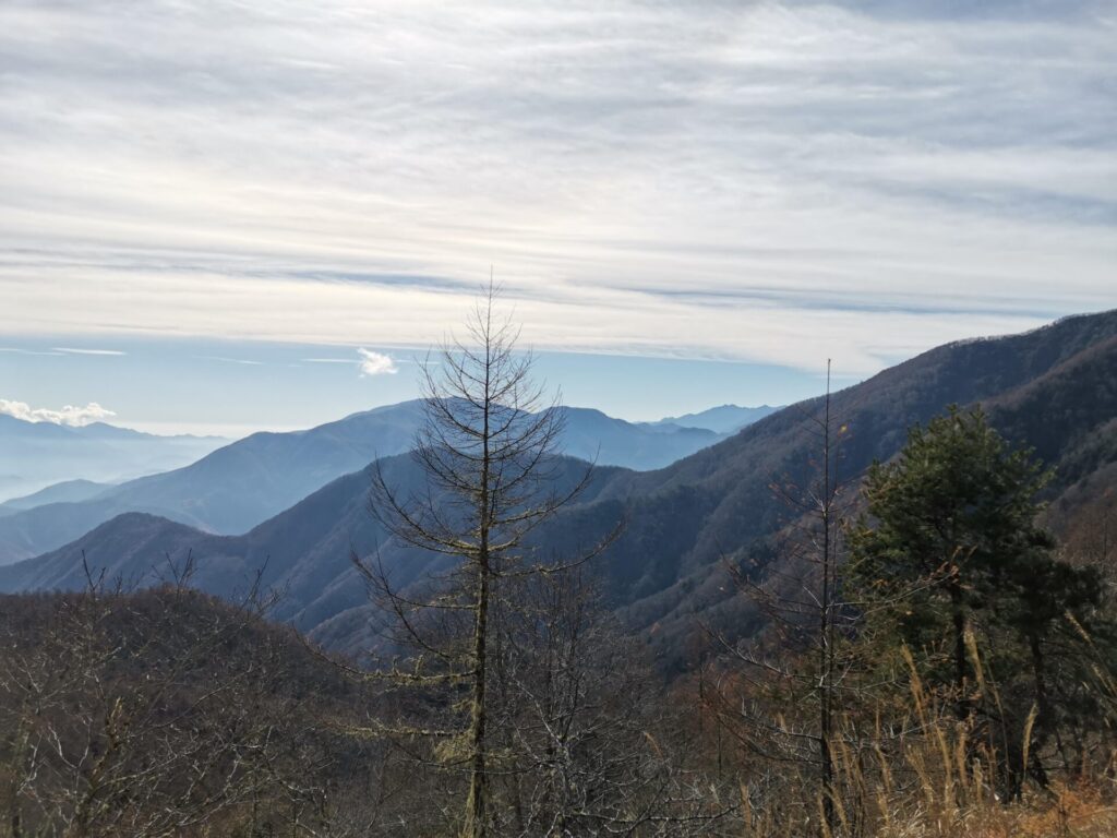 櫛形山 南アルプス