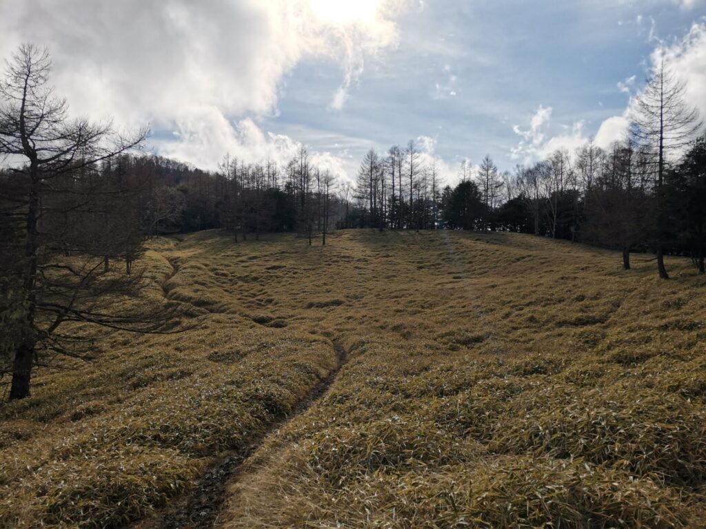 登山道