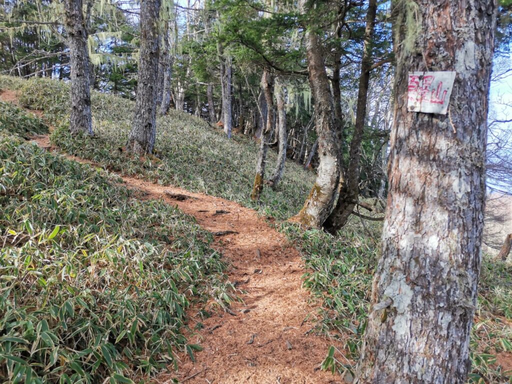 千頭星山 山名板