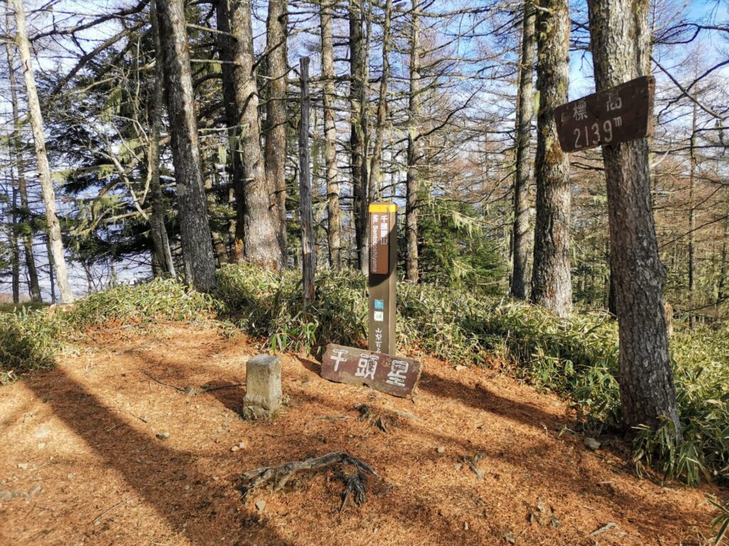 千頭星山 標柱