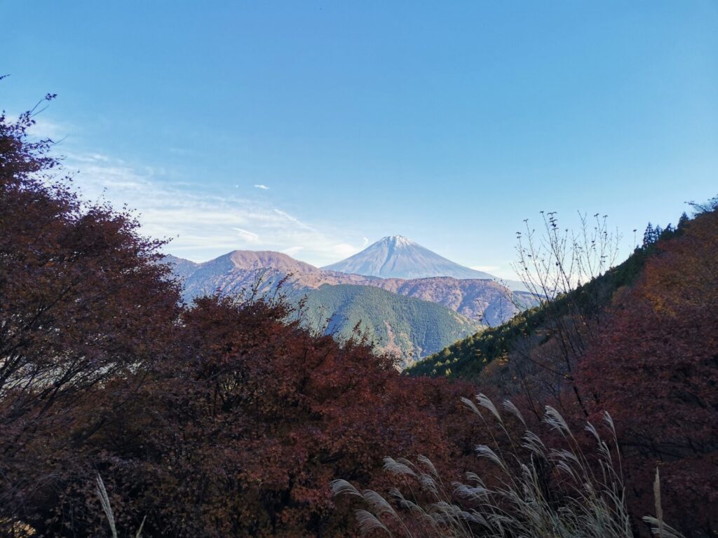 富士山