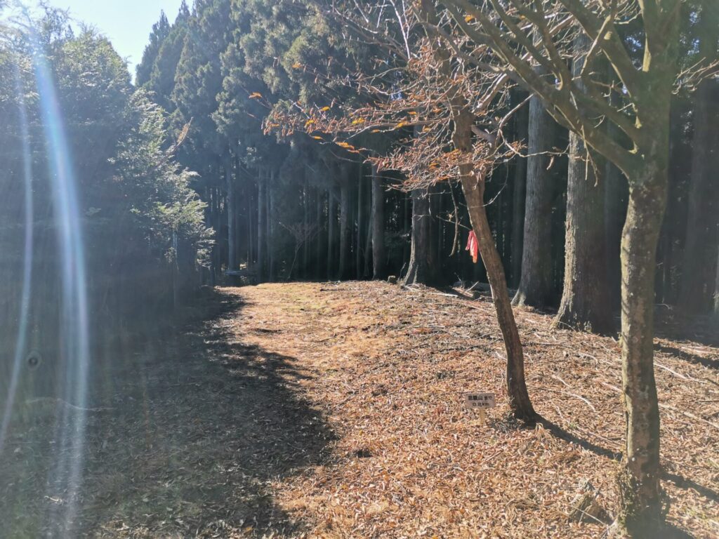 登山道