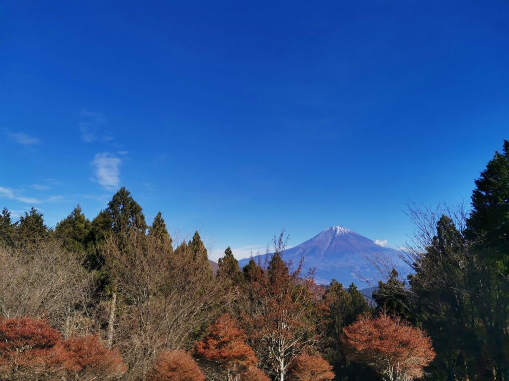 富士山