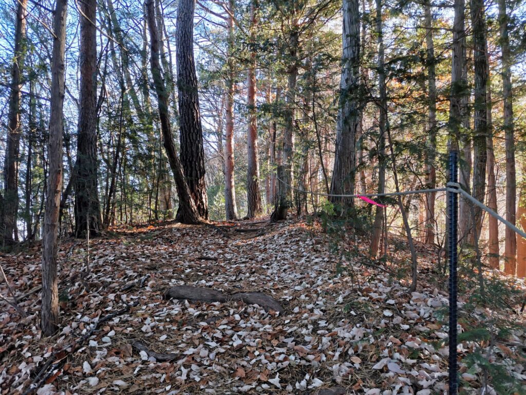 登山道 ピンクリボン