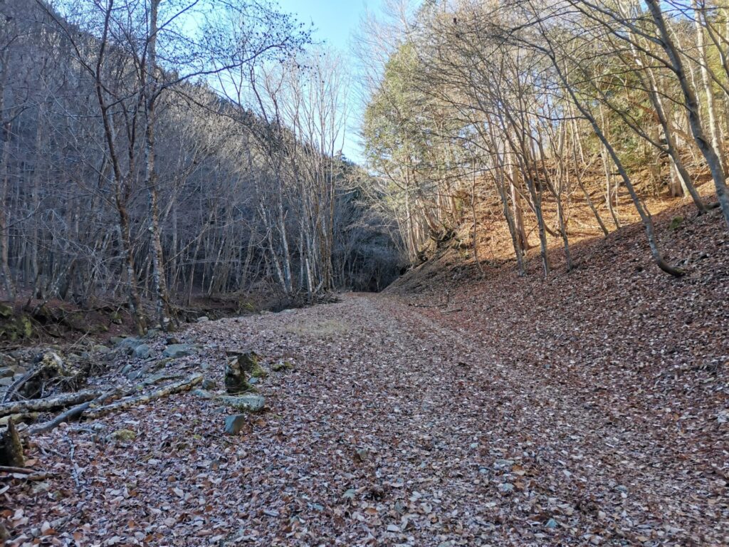 登山道