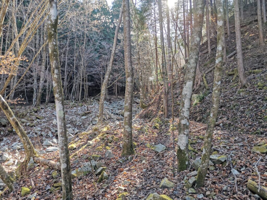 登山道 ピンクリボン
