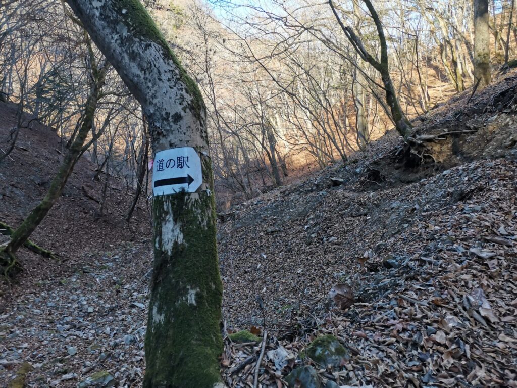 道の駅 道標