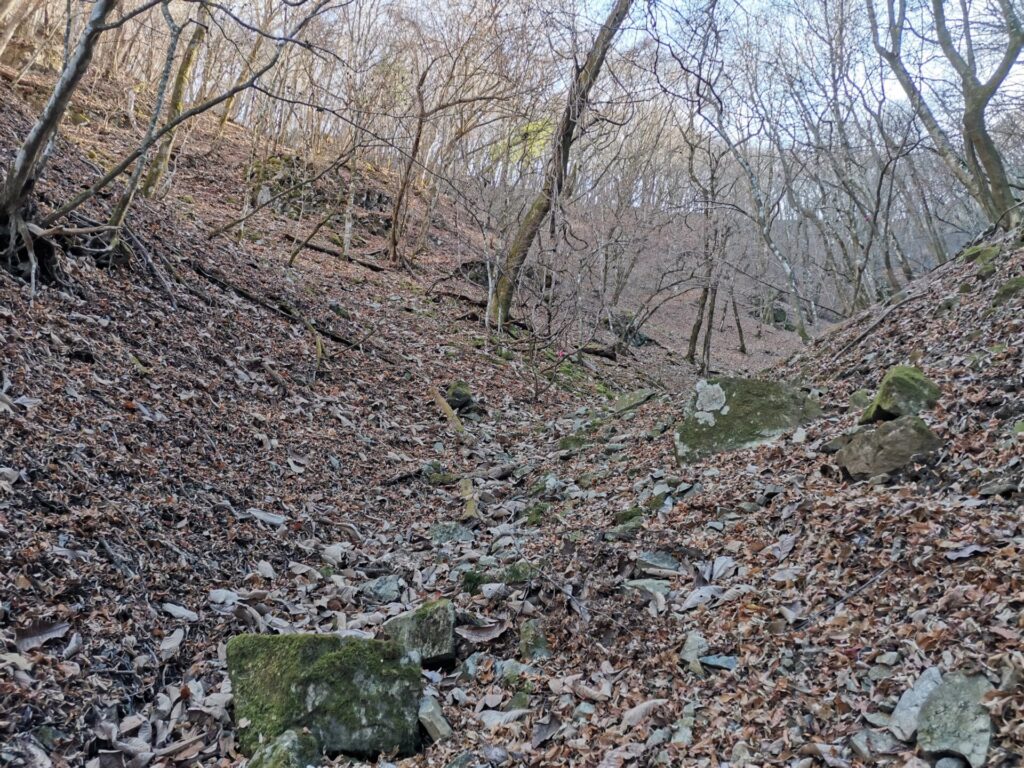 登山道 ピンクリボン