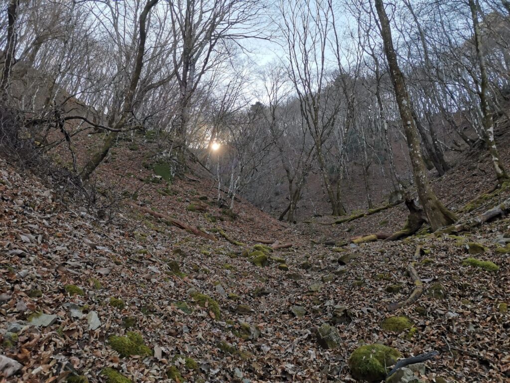 登山道
