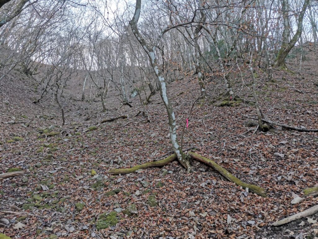 登山道 ピンクリボン