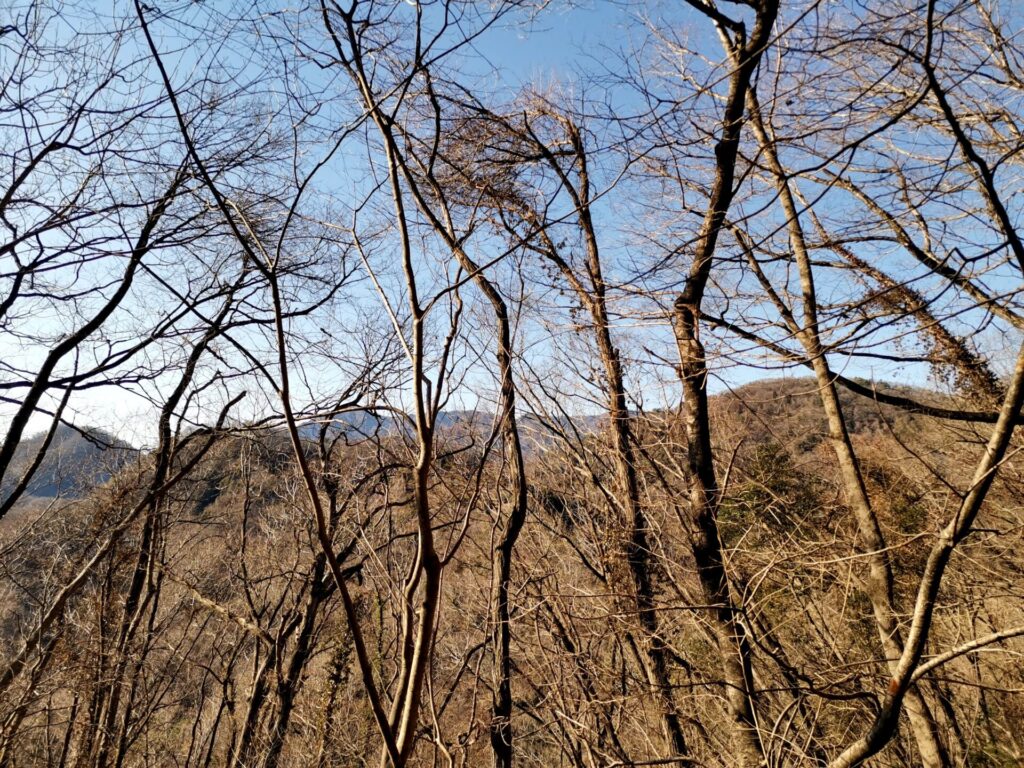滝子山