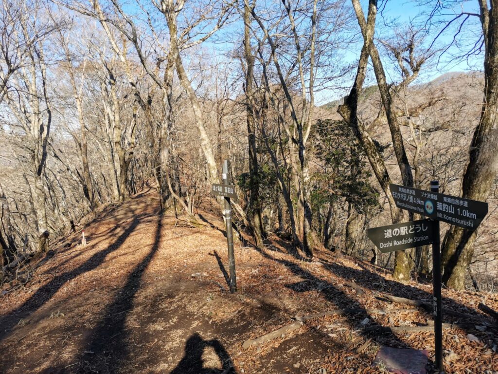 ブナ沢乗越 道標