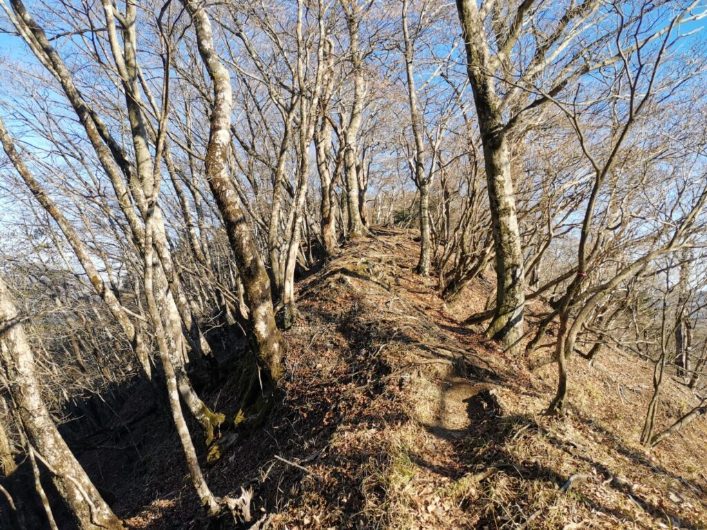 登山道