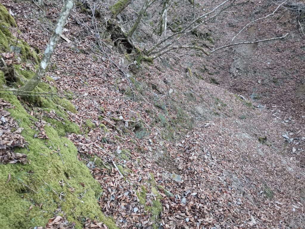 登山道 ロープ