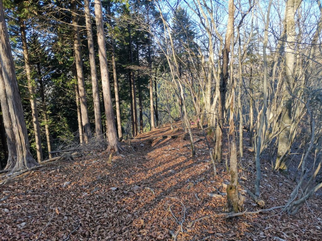 登山道 ピンクリボン