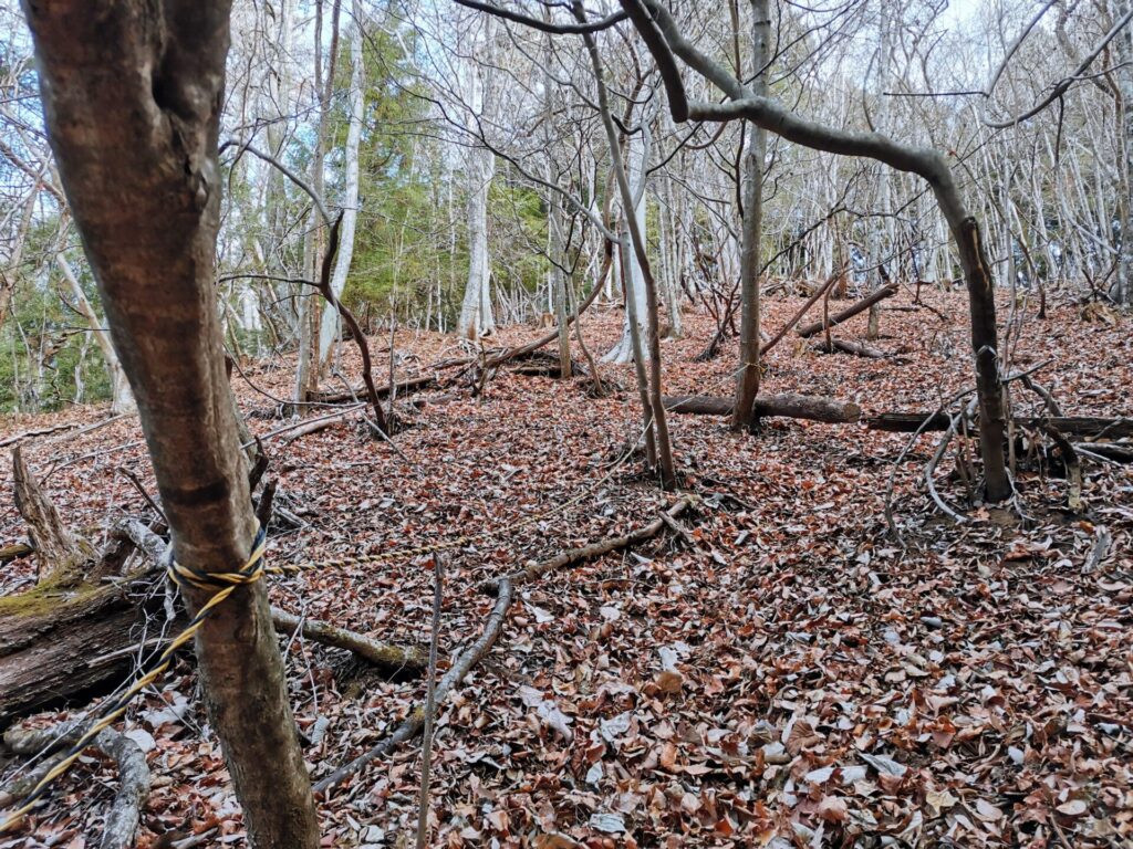 登山道 ロープ