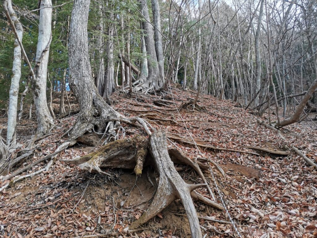 登山道 ロープ