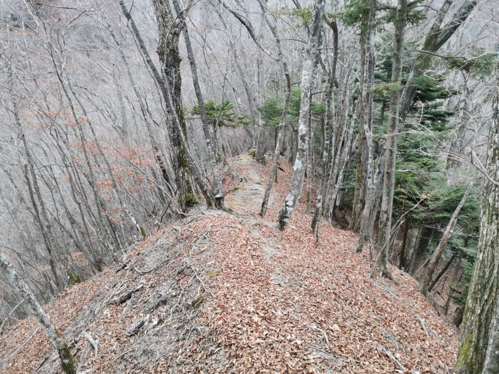 登山道