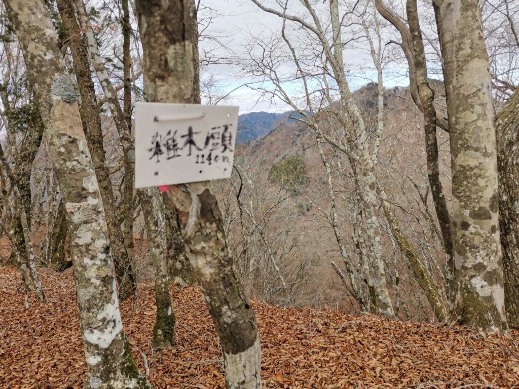 雑木ノ頭 山名板