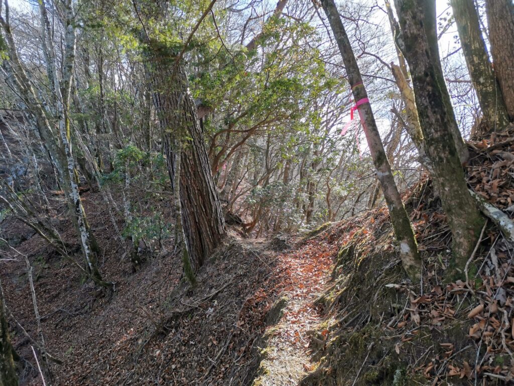 登山道
