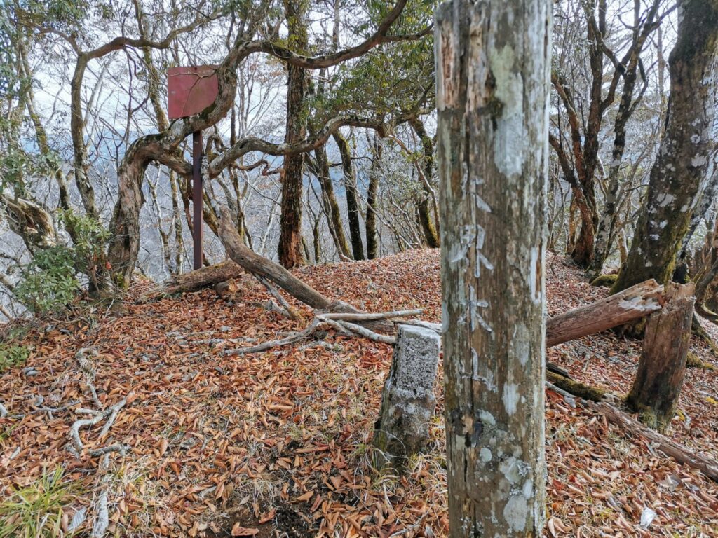 大界木山 標柱