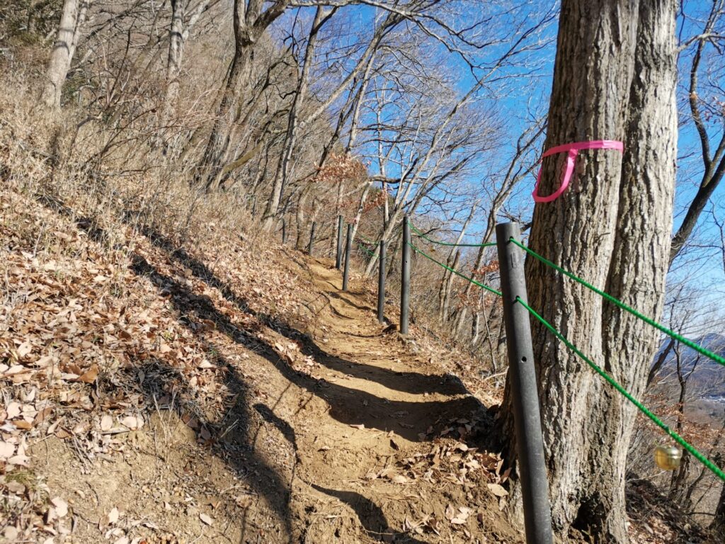 登山道 ピンクリボン