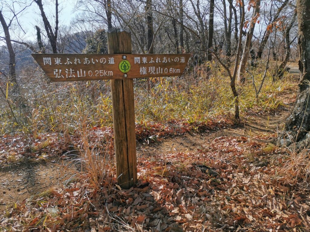 権現山 道標
