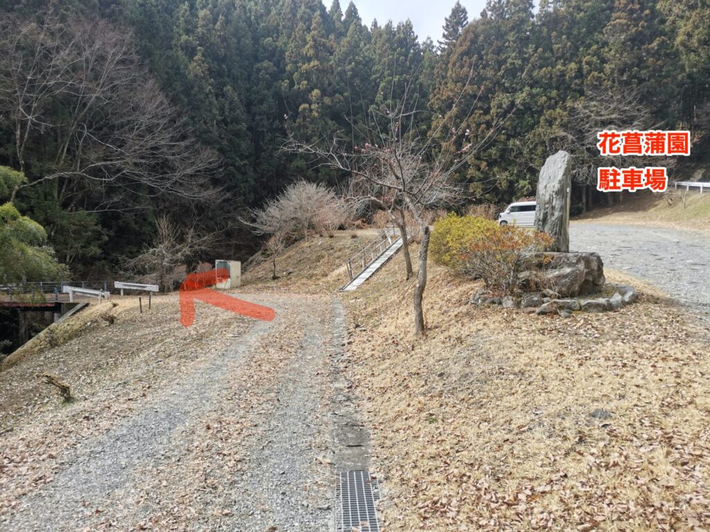 花菖蒲園駐車場