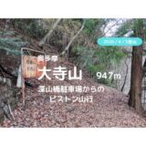 大寺山登山｜マイカーで訪れる場合の駐車場、登山口、登山ルートなどの紹介【仏舎利塔を見に行こう】