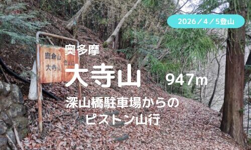 大寺山登山｜マイカーで訪れる場合の駐車場、登山口、登山ルートなどの紹介【仏舎利塔を見に行こう】