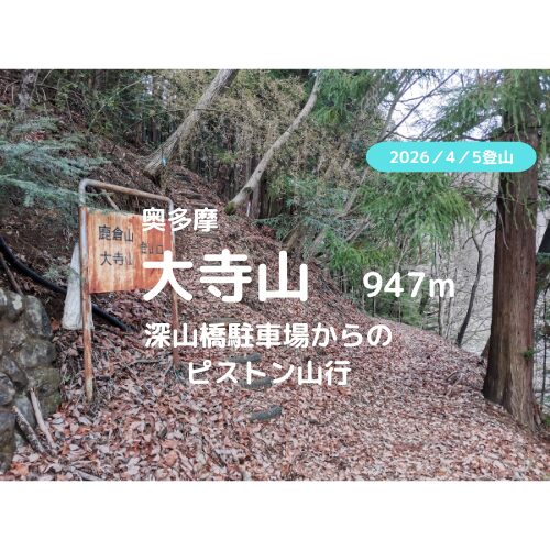 大寺山 アイキャッチ