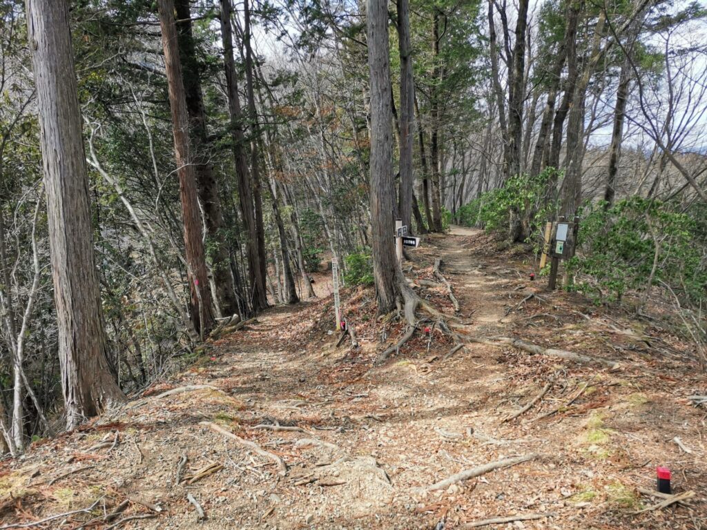 登山道 分岐