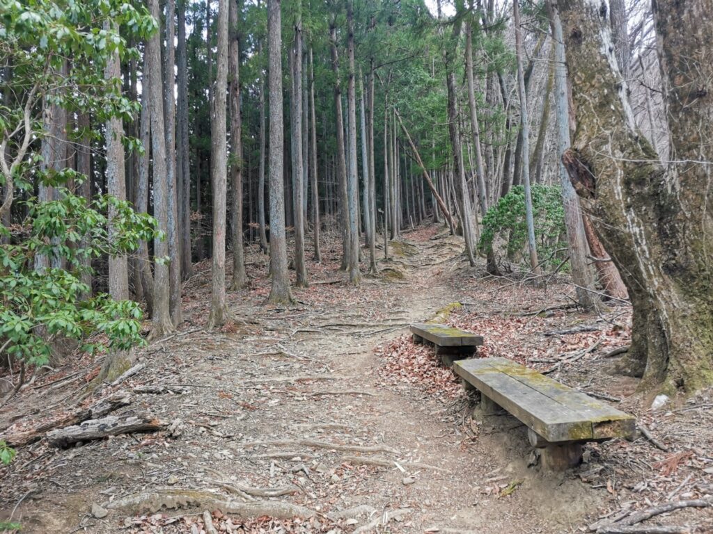 登山道 ベンチ
