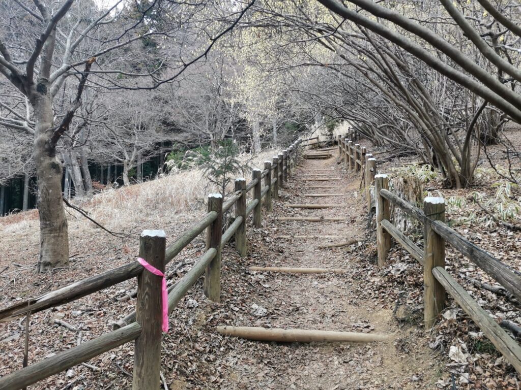 登山道