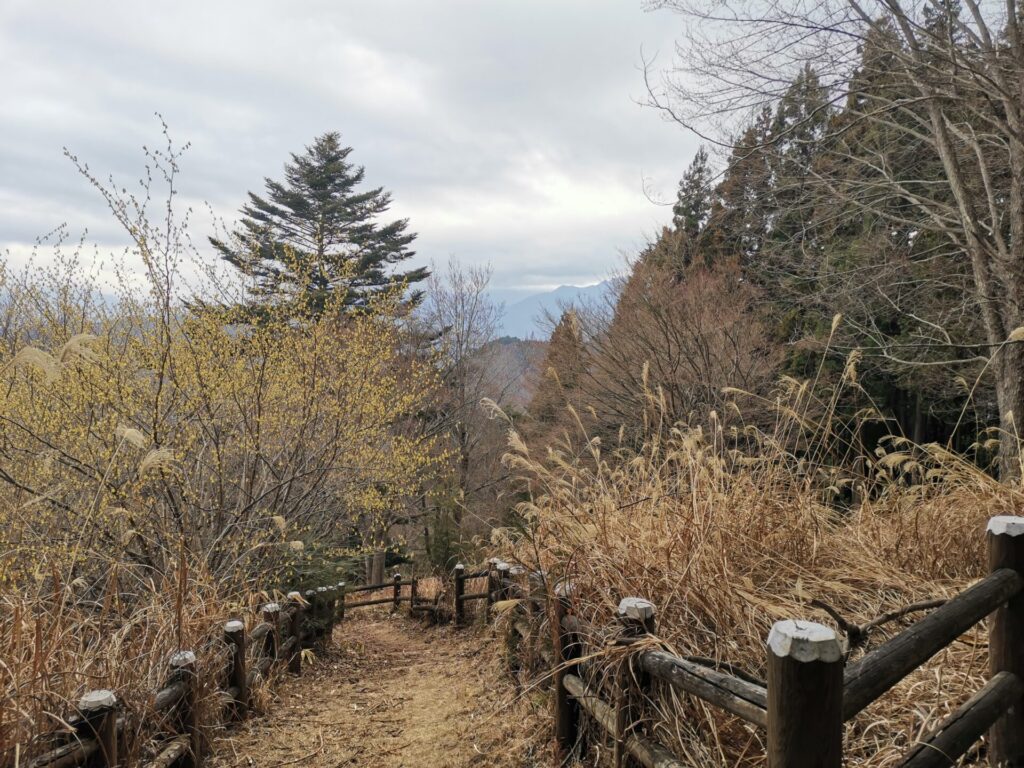 登山道