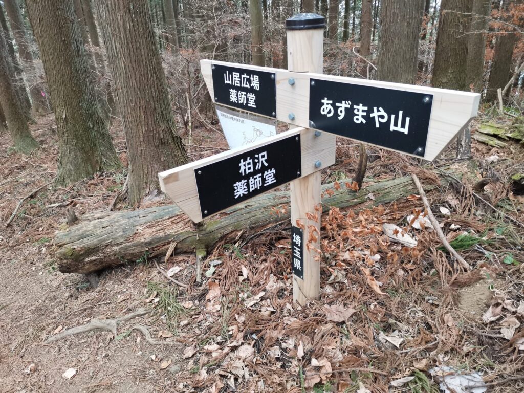 柏沢 薬師堂 道標