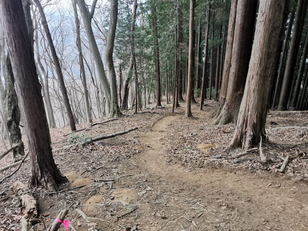 登山道